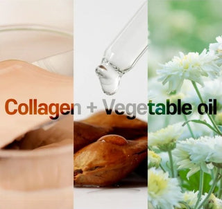 Key ingredients in Elizavecca CER-100 Collagen Coating Hair A+ Muscle Essence