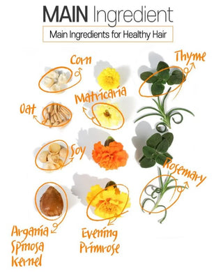 Key ingredients in Elizavecca CER-100 Collagen Coating Hair A+ Muscle Essence