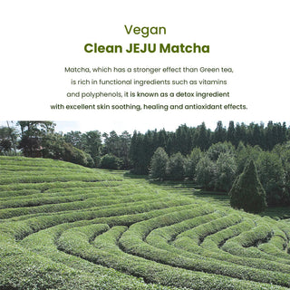 Key ingredients in Heimish Matcha Biome Hydrogel Eye Patch