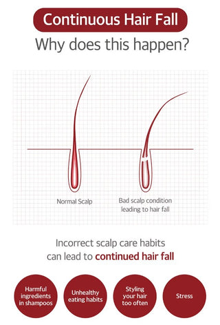 Key facts about KUNDAL Head Spa & Scalp Care+ Scalp Tonic